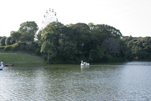 観音さくらの里